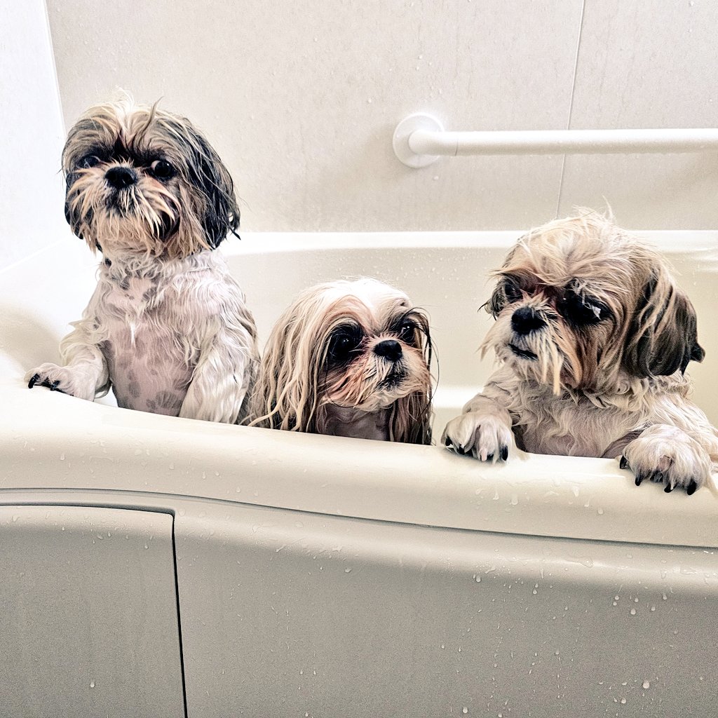 まめちゃんページ♡ まめっち (@MameMame_122) / Posts / X