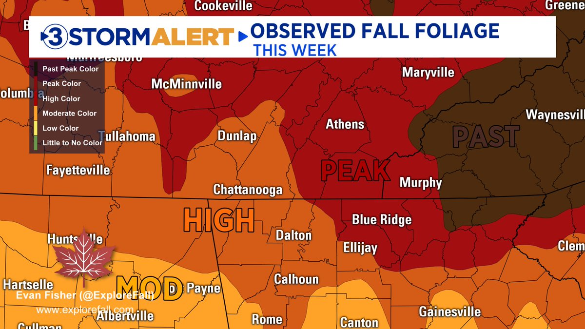 Local3Thunder's tweet photo. The next two weeks will be THE TIME to see the fall colors (which are pretty amazing this year) in the Tennessee Valley.  We will be peaking through next week and then the leaves will start to fall in preparation for winter.  Get some great shots while you can!  @DavidKarnes3 https://t.co/UPIHcPUuHi
