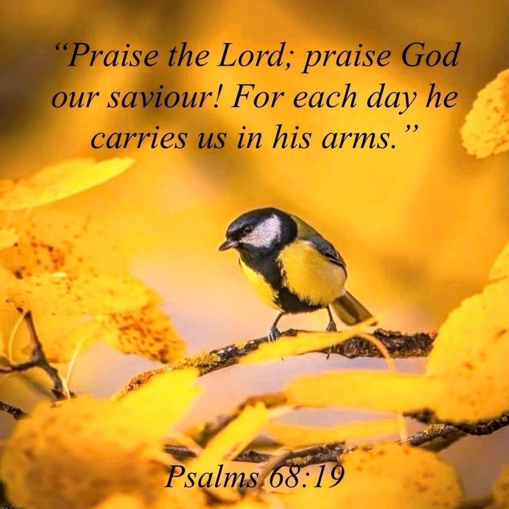 Psalm 68:19
19 Praise be to the Lord, to God our Savior,
    who daily bears our burdens.