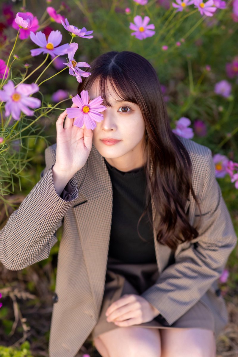 コスモス🌸