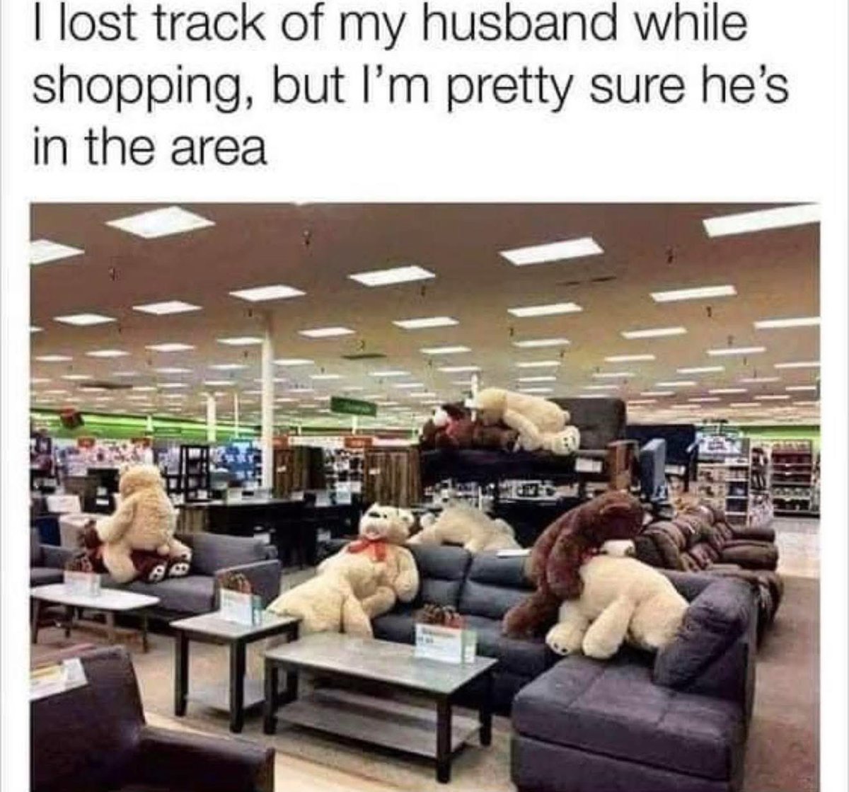 Mrs. S. (@hshlauraj) on Twitter photo 