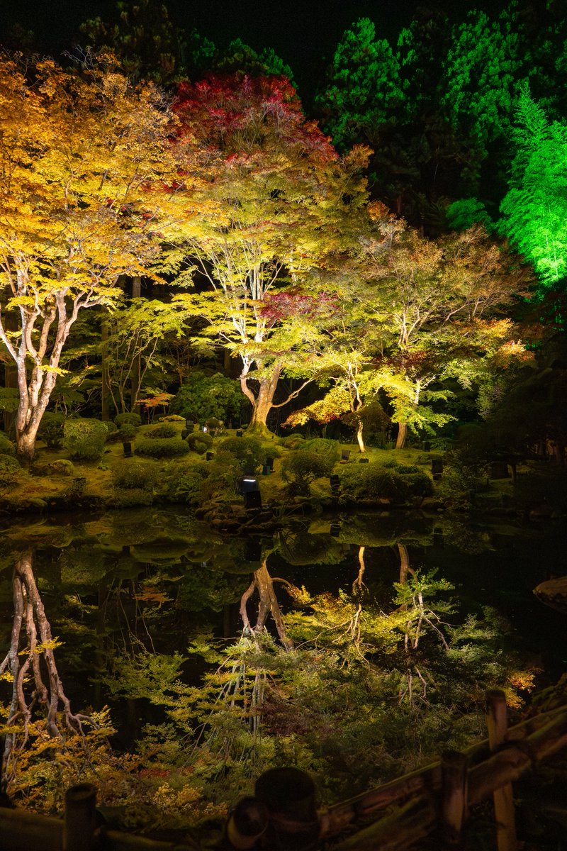 mushiro_nami's tweet image. 円通院夜間拝観

#reflection