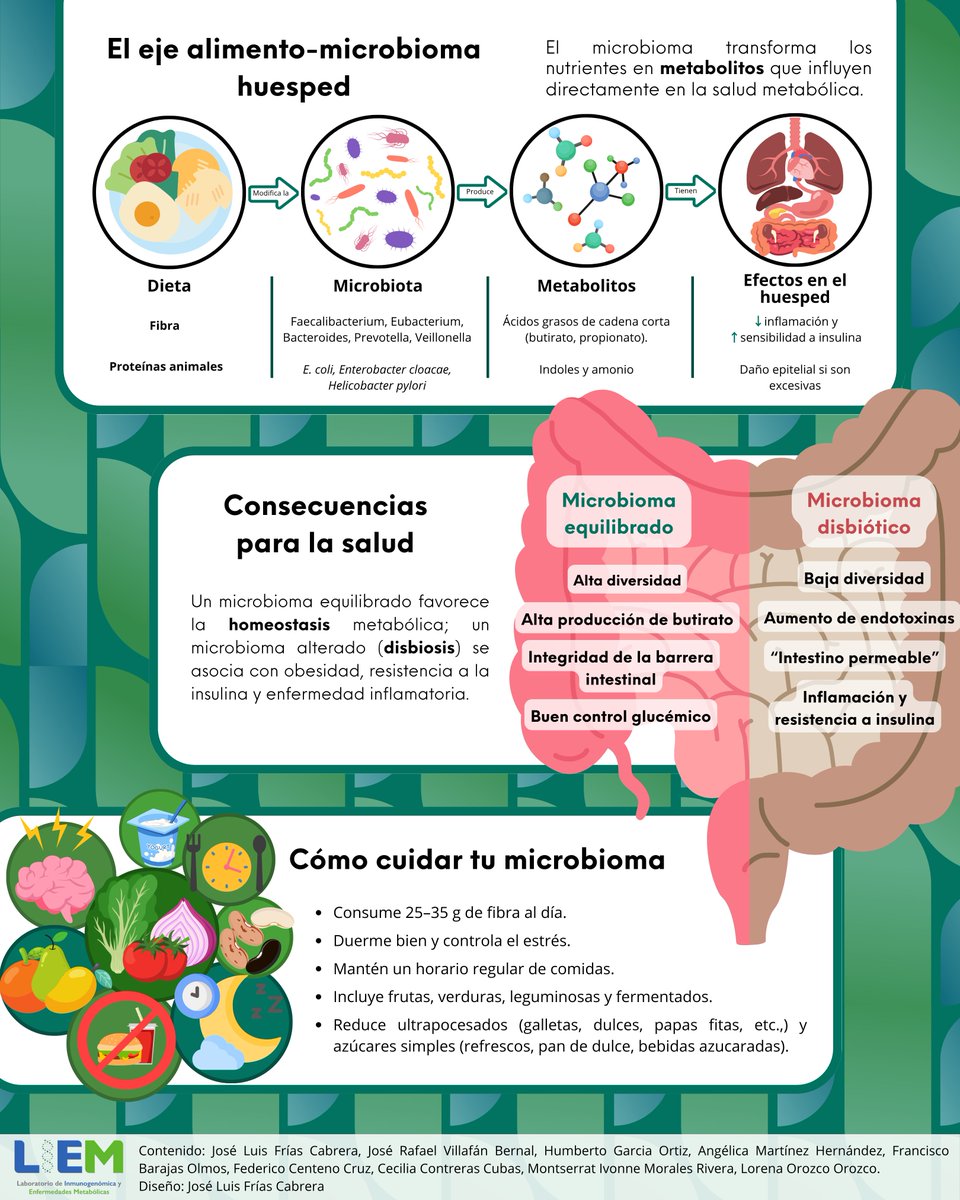 LiemInmegenLab's tweet image. 🔬 Del plato al metabolismo: el microbioma es el puente.🥦🍟 🌱 🧬 🦠 🍎🥦🥕🌽🥑🍞🍲

Tu intestino alberga billones de microorganismos (bacterias, hongos, virus y arqueas) que transforman los alimentos en metabolitos que pueden mejorar o afectar tu salud.