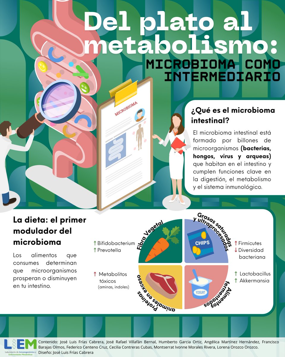 LiemInmegenLab's tweet image. 🔬 Del plato al metabolismo: el microbioma es el puente.🥦🍟 🌱 🧬 🦠 🍎🥦🥕🌽🥑🍞🍲

Tu intestino alberga billones de microorganismos (bacterias, hongos, virus y arqueas) que transforman los alimentos en metabolitos que pueden mejorar o afectar tu salud.