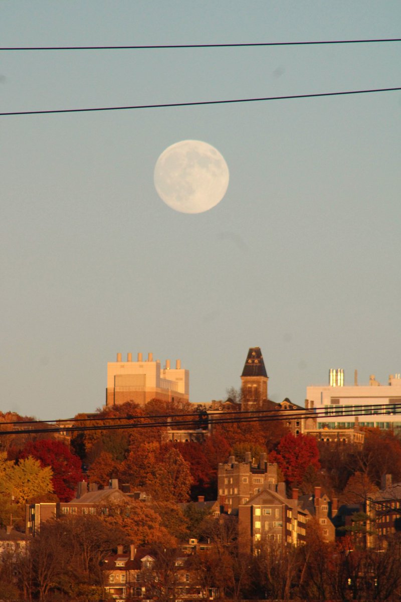 Jihan B. tweet media