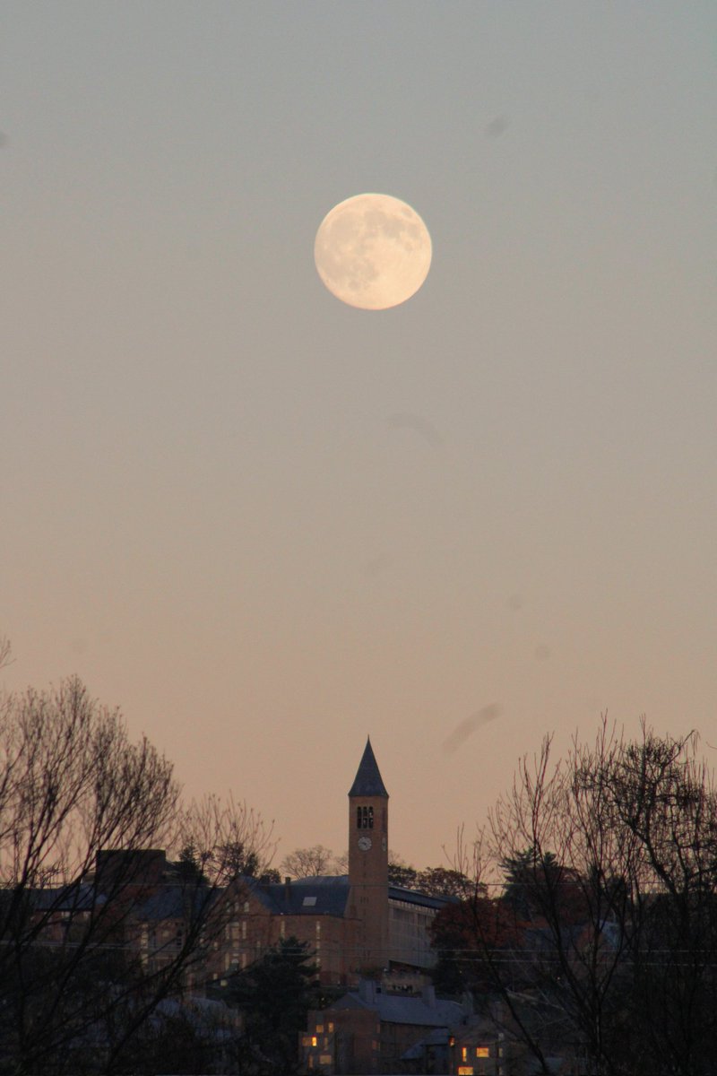 Jihan B. tweet media