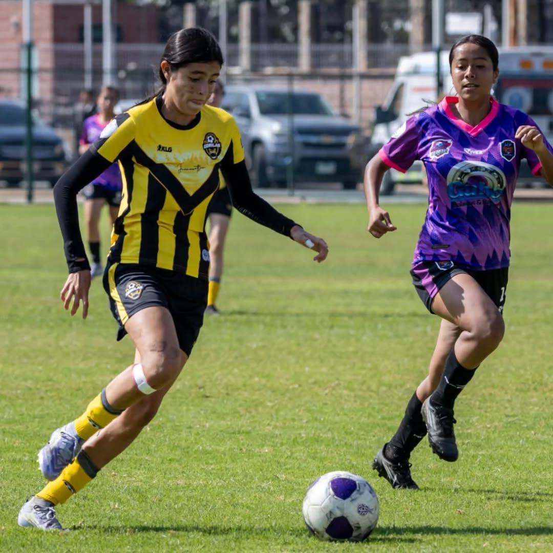 Mini galería de nuestro partido de la jornada 👀⚽💜
Gorilas de Juanacatlan Femenil vs Club de fútbol ACF Zapotlanejo

📷@4in1futbol