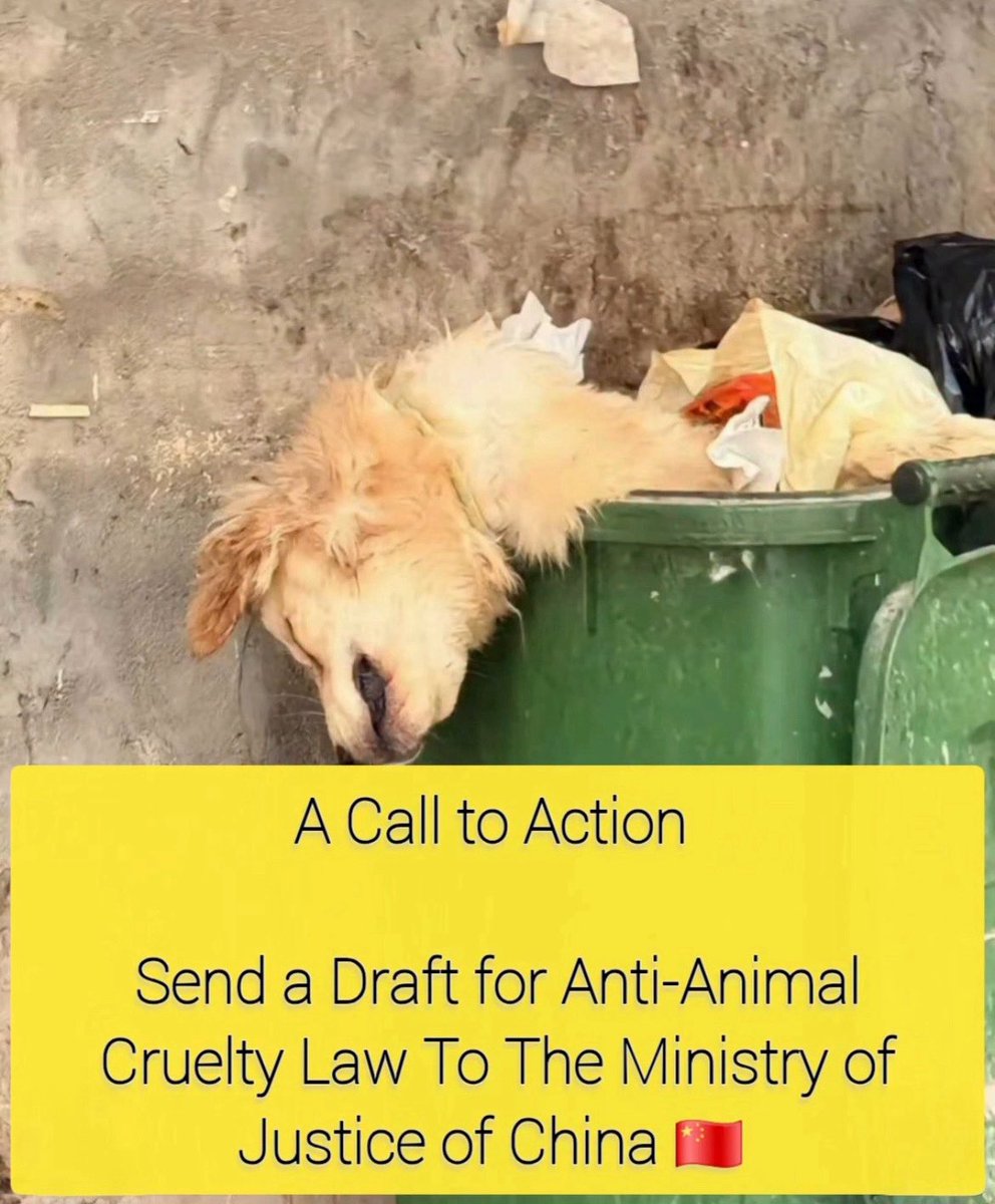 PrayForYou様確認ページ Feline Guardians without borders Japan on X