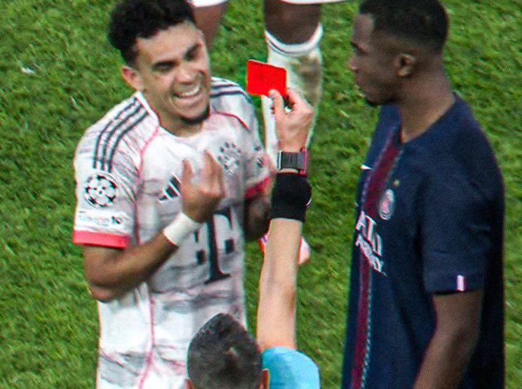AlexJaquin's tweet photo. Pacho se retient tellement de ne pas marbrer ce sale type https://t.co/cT7CYsgB24