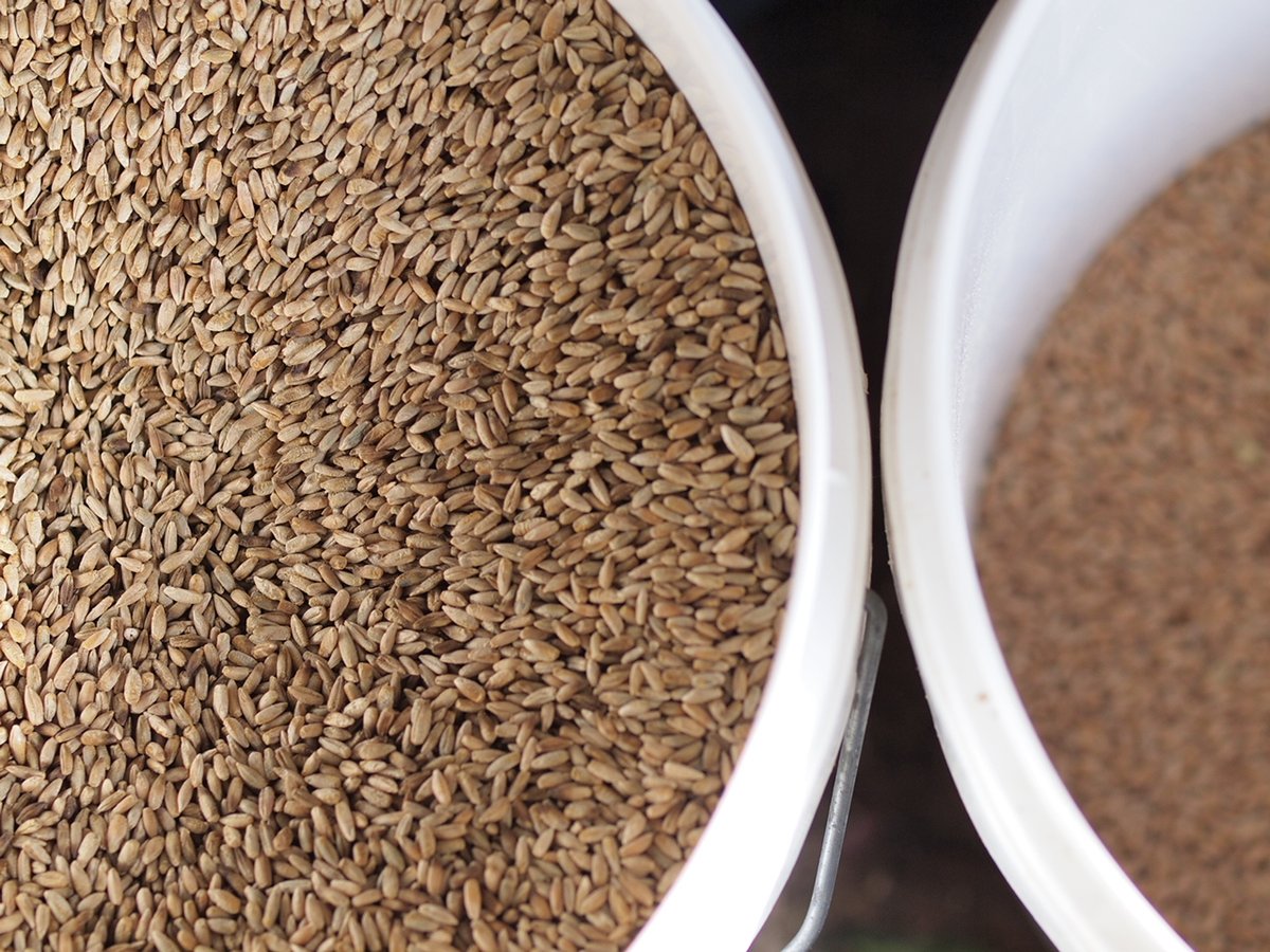 I have not bought flour for over seven years. 

If we want to make a favourite recipe that isn’t soaked or fermented, we make it from home-milled whole grain flour. Phytic acid in whole grains is not scary, and sourdough fermentation the best way to handle it. Link in comments.