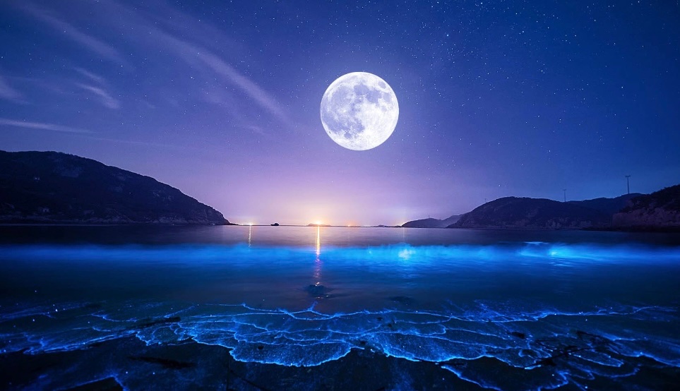 ウリエル｜恋の縁結び桜天使💖🌸 on X