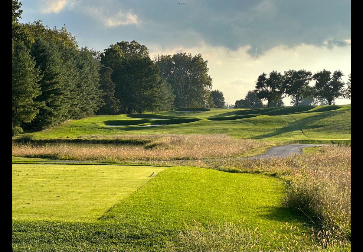 Peter Garvey tweet media