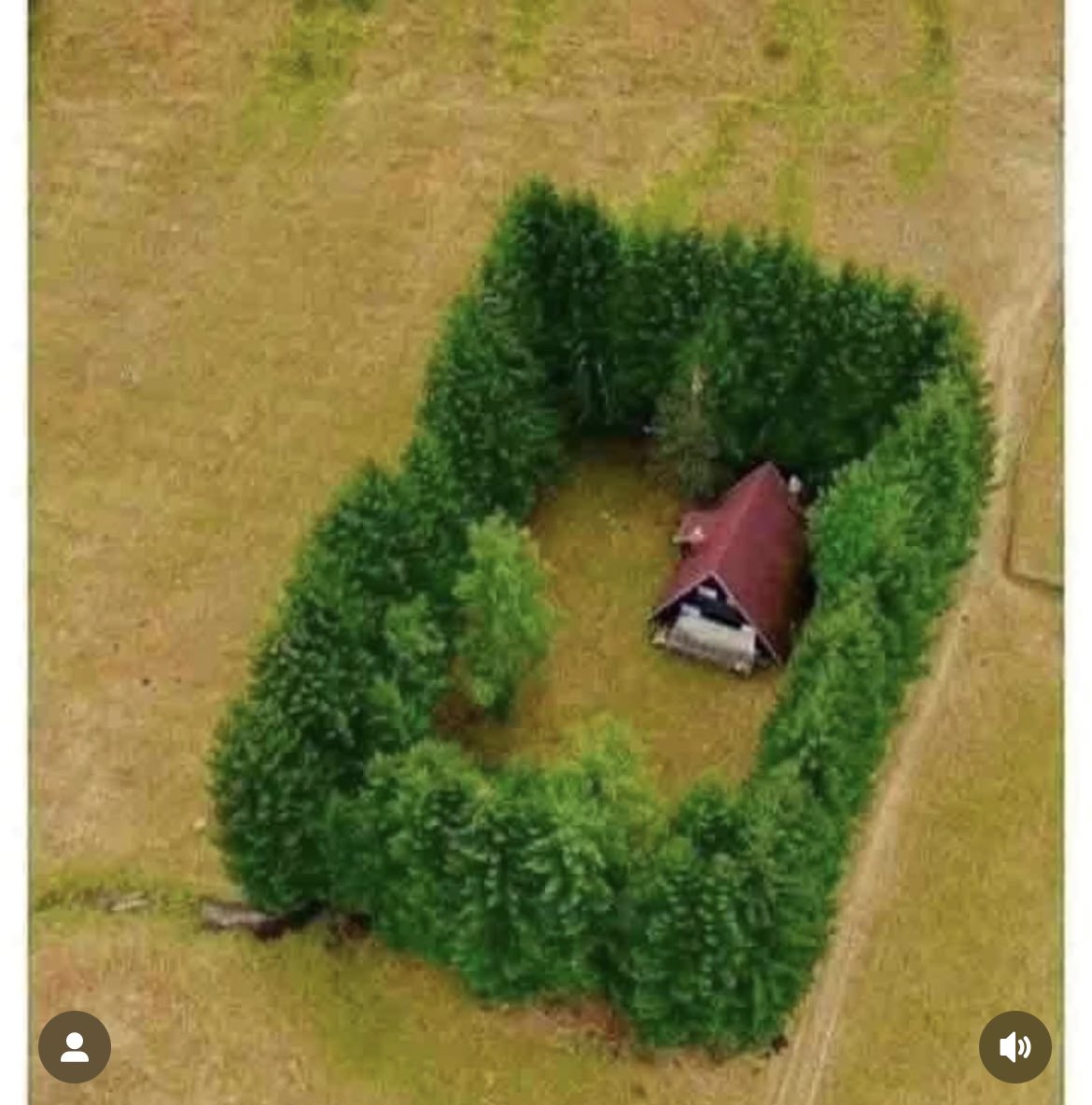 Mel - Baphomet Fella (@mdvolker) on Twitter photo 