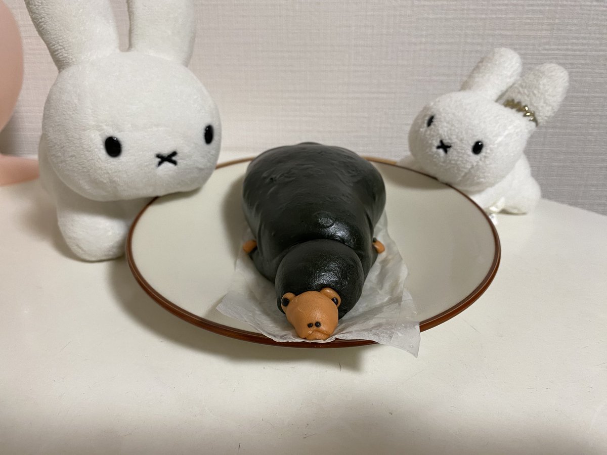 野生のうさぎ (@shimajirho9) / Posts / X