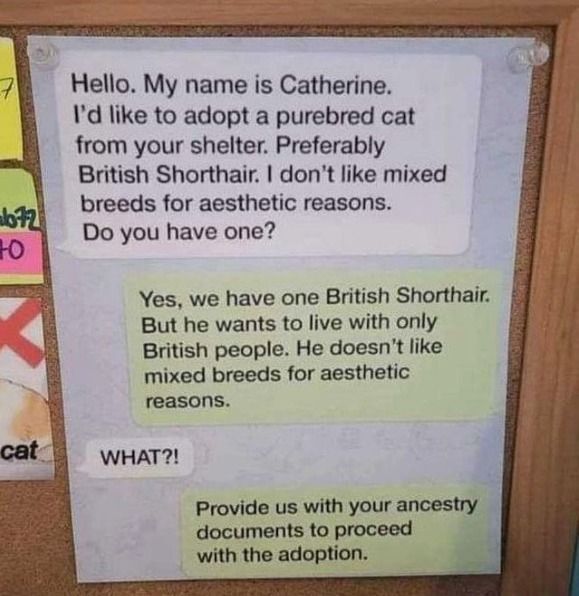 This is priceless! 😂