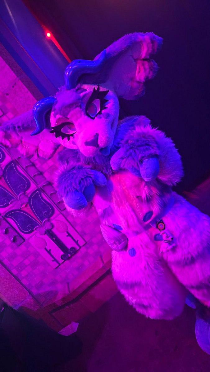 Chi 🔜 LVFC 🎲 tweet media