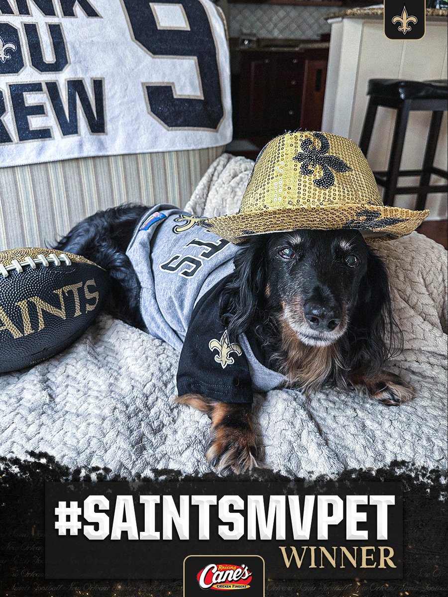 Saints's tweet image. Introducing your  #MVPet  winner for the month of October! ⚜🐾

Enter for a chance to win this month ➡️ neworlns.co/4oVlgWx

#Saints | @raisingcanes