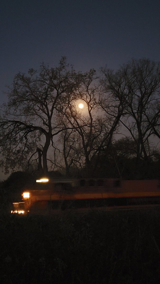 one_khz's tweet image. Short hike at County Grounds Park #Milwaukee #Tosa