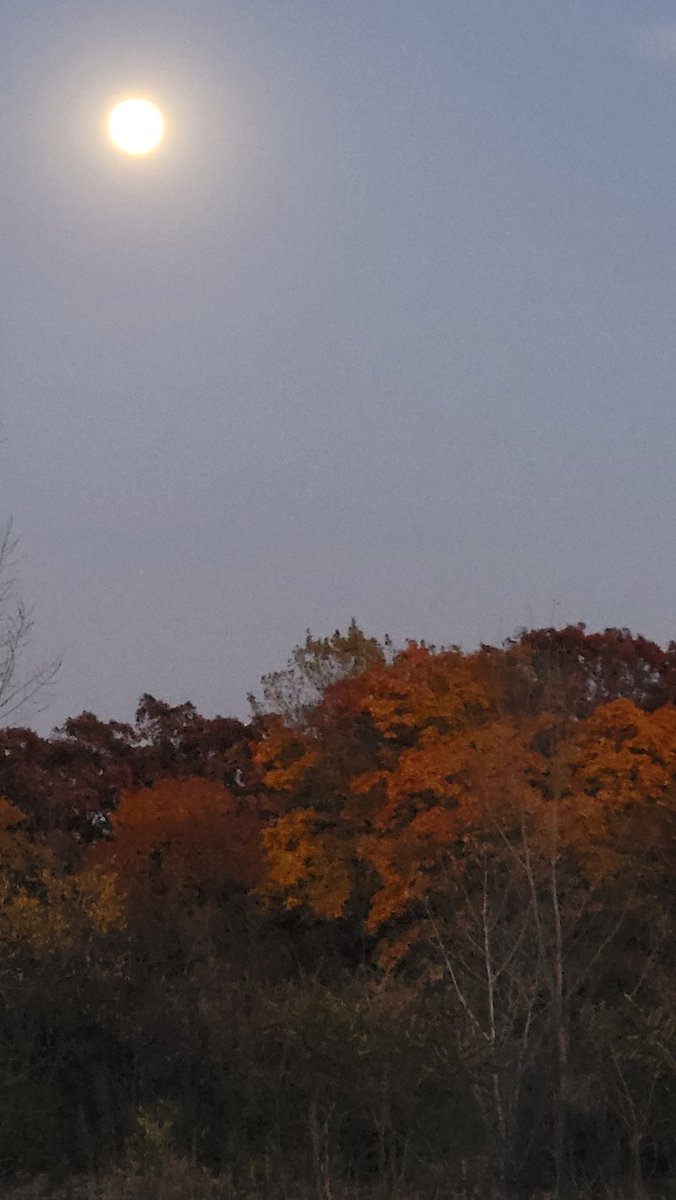 one_khz's tweet image. Short hike at County Grounds Park #Milwaukee #Tosa