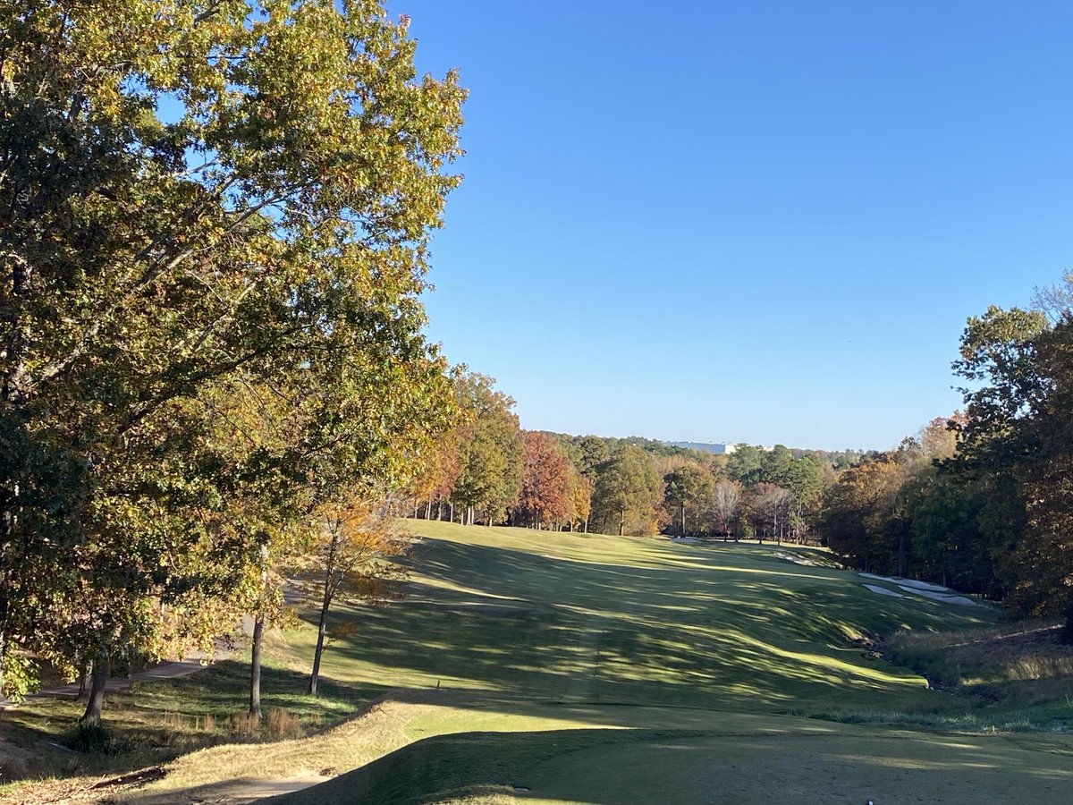 Brian Green tweet media