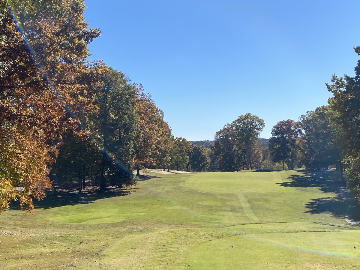 Brian Green tweet media