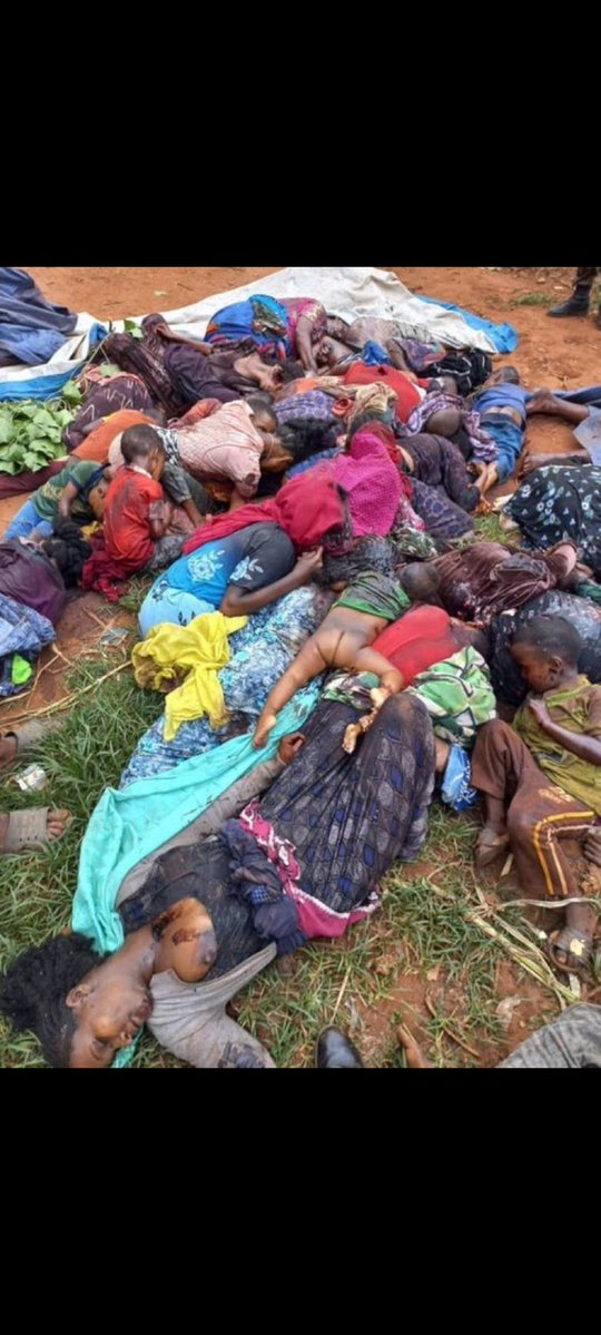 Chukwuemek31403's tweet image. As for you @_iOlatunde, may the blood of the innocent Christians gruesomely killed because of their faith in Christ Jesus—speak against you and your household whenever you pray.