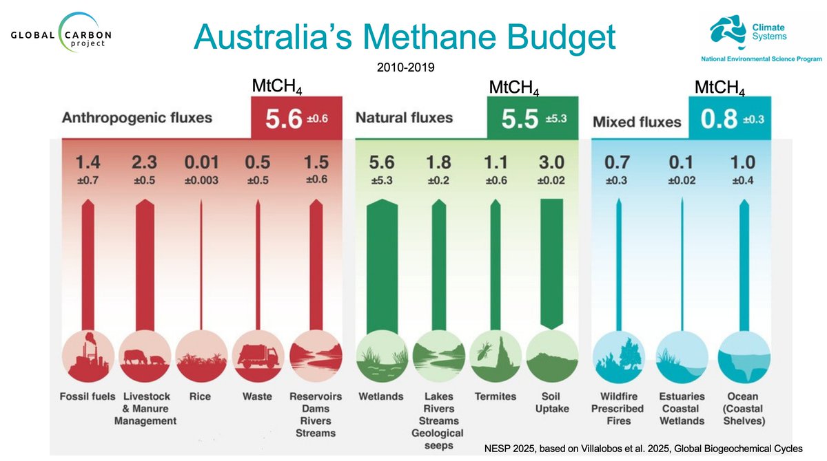 pepcanadell's tweet photo. As part of the GCP-Regional Carbon Cycle Assessment and Processes-2, we recently published the Australasia's CH4 and N2O Budgets. The carbon budget was published in 2023, both papers, led by Yohanna Villalobos and a great team of collaborators.
https://t.co/OSrZf37MYC https://t.co/BHXzVbDTMp
