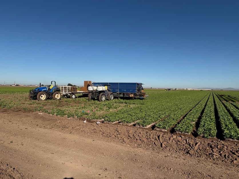 IdahoWaterUsers's tweet photo. Last week, ID water users were in AZ for the @nwra_water annual meeting. 

Did you know that Yuma provides the produce to the U.S. and Canada from Thanksgiving to Easter? 

During peak harvest, there is a semi load of vegetables leaving the area every one minute and 17 seconds! https://t.co/ZdEVX2TIHe