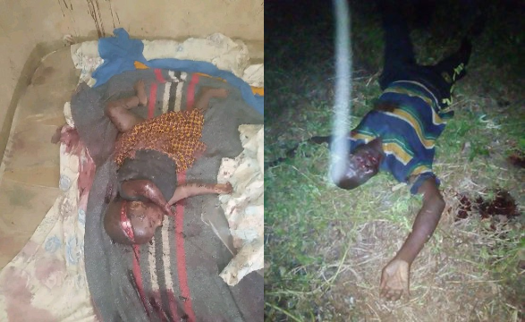 Parallel Facts tweet media