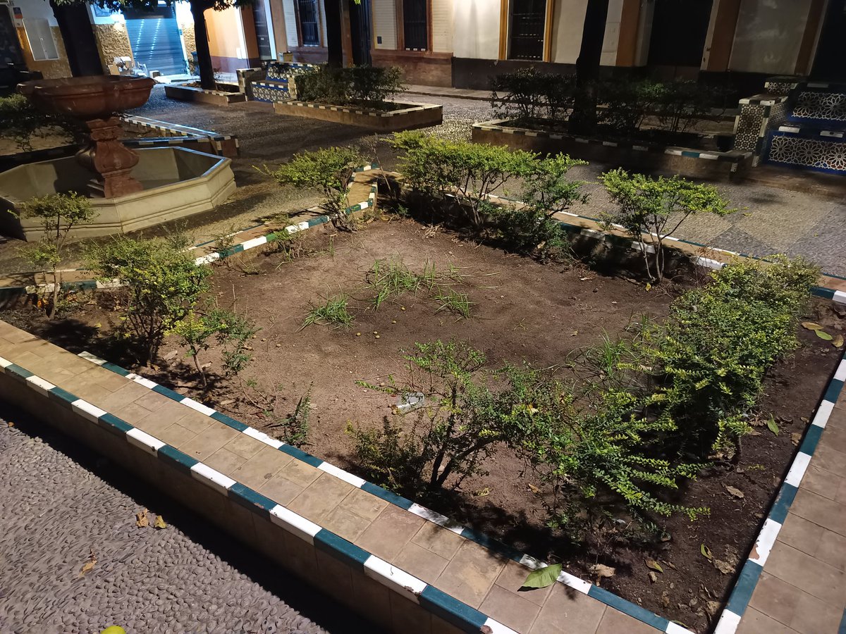 ale_svq's tweet photo. Tenemos que arreglar esto! @eveliarincon @jlsanzalcalde por aqui pasan miles de personas, es nuestro escaparate y esencia, no se puede permitir que en estos 2 años este asi la plaza de doña elvira, setos secos, dañados zonas con malas hiervas, basura, perdida de arbustos.. https://t.co/qtcAldfIxj