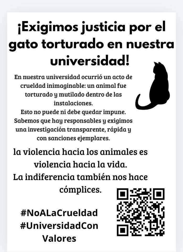 Justicia para el gatito y cárcel para los agresores <a href="/TabascoHOY/">Tabasco HOY</a> <a href="/Gobdetabasco/">GOBIERNO DE TABASCO</a> <a href="/TVTenlinea/">Televisión Tabasqueña</a> <a href="/LicAnimalista/">Abogado Animalista</a> <a href="/azelarobinson/">Azela Robinson</a> <a href="/Animales_CDMX/">AnimalesCDMX</a> <a href="/QuePocaMadre_Mx/">Qué Poca Madre 🇲🇽</a> el vídeo es muy cruel, torturado y muti… presionemos a las autoridades de la universidad autónoma de Tabasco <a href="/Mr_Civico/">🎙️ ᗰᖇ. ᑕíᐯIᑕO ®🇲🇽₿ ✖️</a>