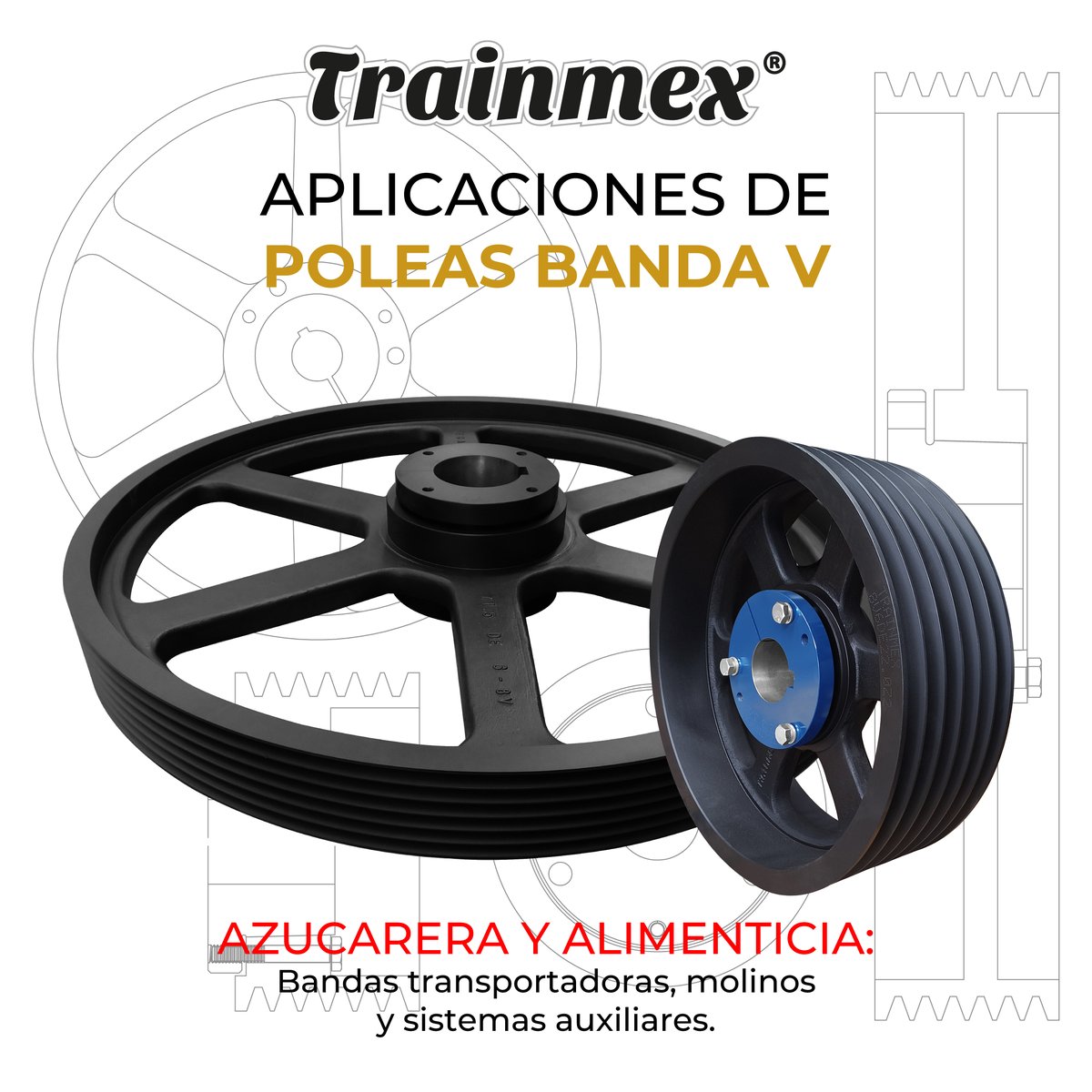 ⚠️ ATENCIÓN INDUSTRIA: ¿Buscas Potencia y Resistencia en transmisión?
Las Poleas Banda V Trainmex® mueven desde molinos cementeros hasta bandas transportadoras mineras. 🏭
#PoleasV #Industria #Trainmex #Transmisión #Maquinaria #Minería #Cementeras