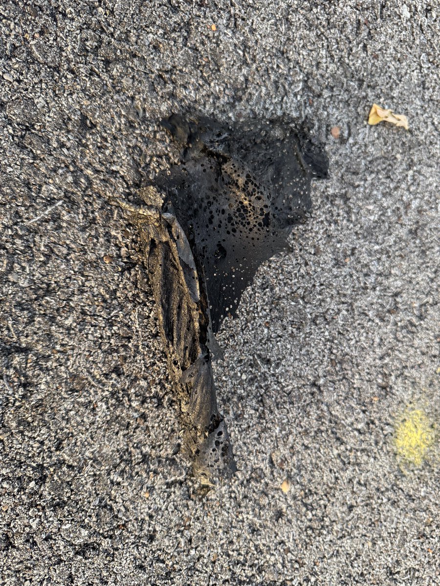 Marc Weinberg tweet media