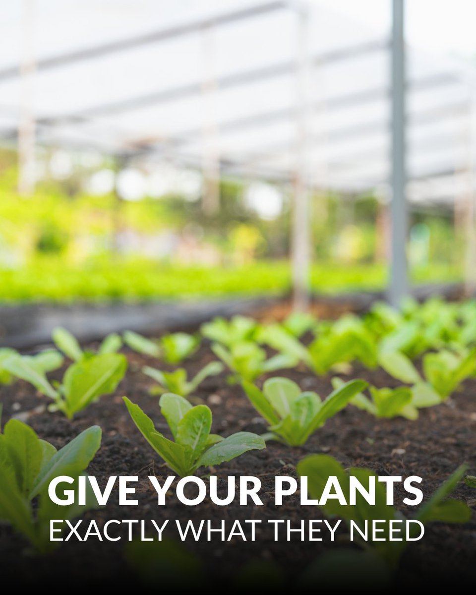 Custom fertilizer designed for your plants’ unique needs.
Too much iron? Not enough calcium? We’ll craft the right mix to help your plants thrive.
#CustomFertilizer #PlantProd #GrowSmart