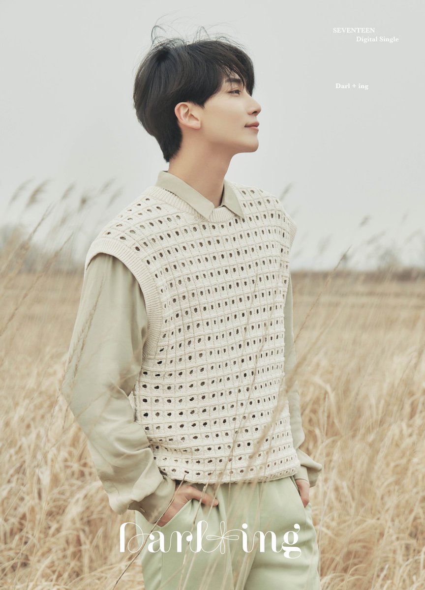 ☆SEVENTEEN ホシセット☆ (ばら売り交渉可) ☆SEVENTEEN ホシセット☆ (ばら売り交渉可) ☆SEVENTEEN