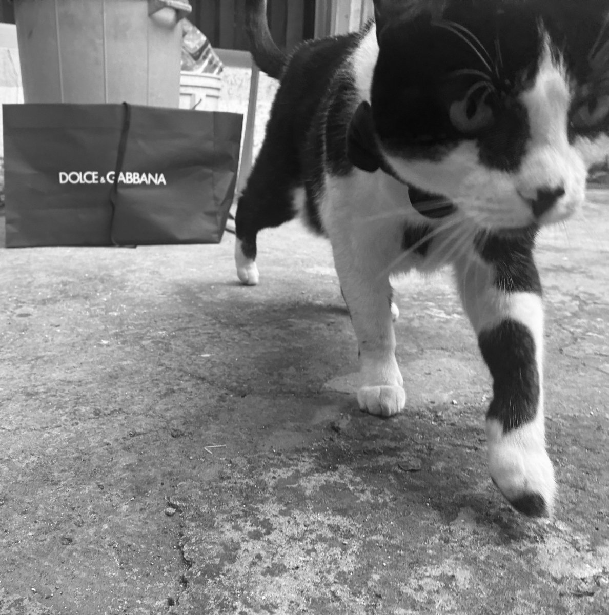 #SeguridadEnLaMixteca