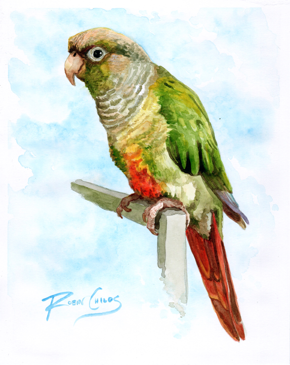 Robin Childs tweet media