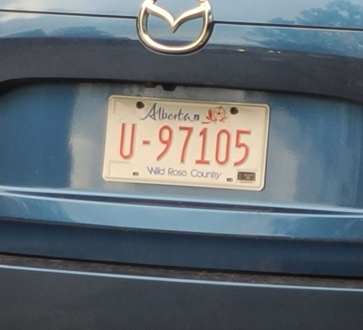 Small Town Alberta tweet media