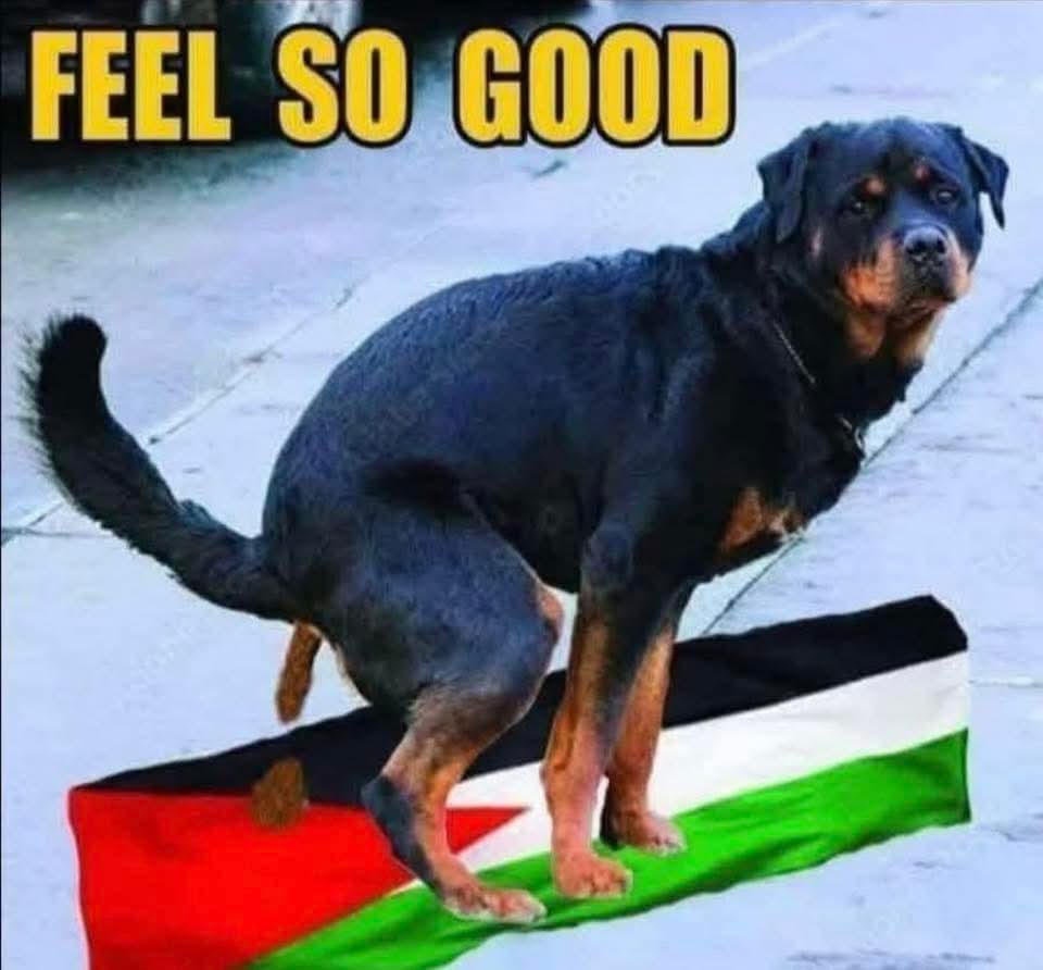 <a href="/AntiLeftMemes/">Anti Left Memes</a>