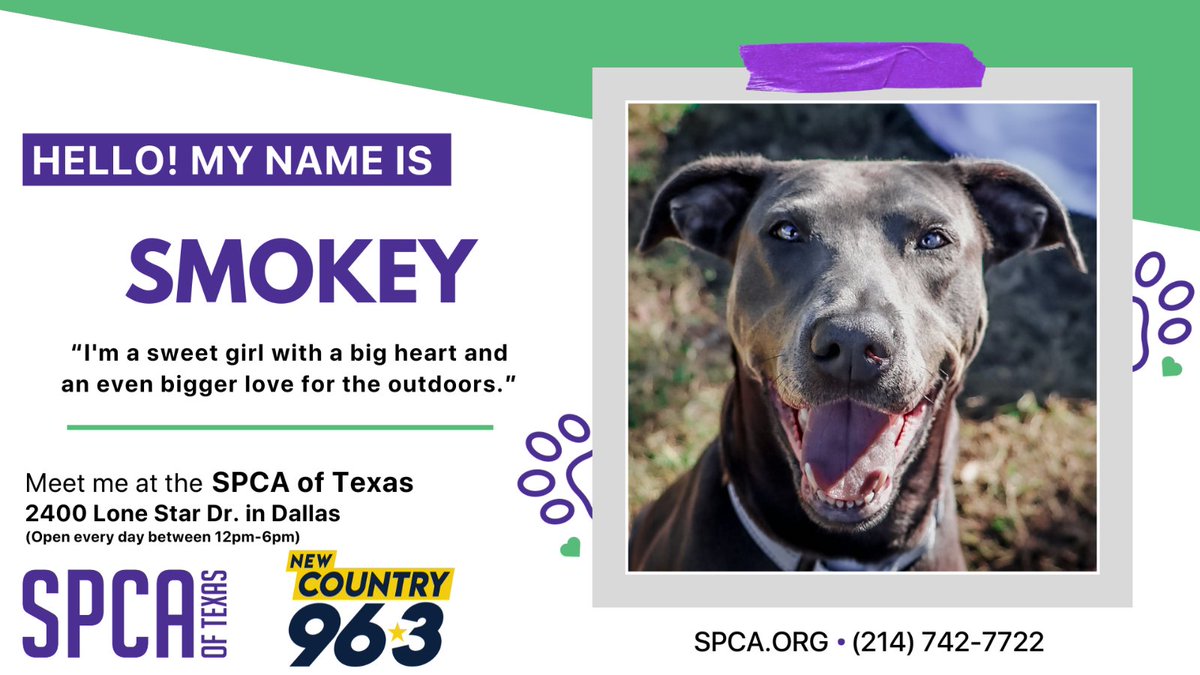 Smokey is a sweet girl with a big heart and an even bigger love for the outdoors. she’s happiest when she’s outside, soaking it all in.  She'll be the one wagging her tail, ready to start your next chapter together.

Smokey is sweet and loyal: spca.org/adoptable/smok…