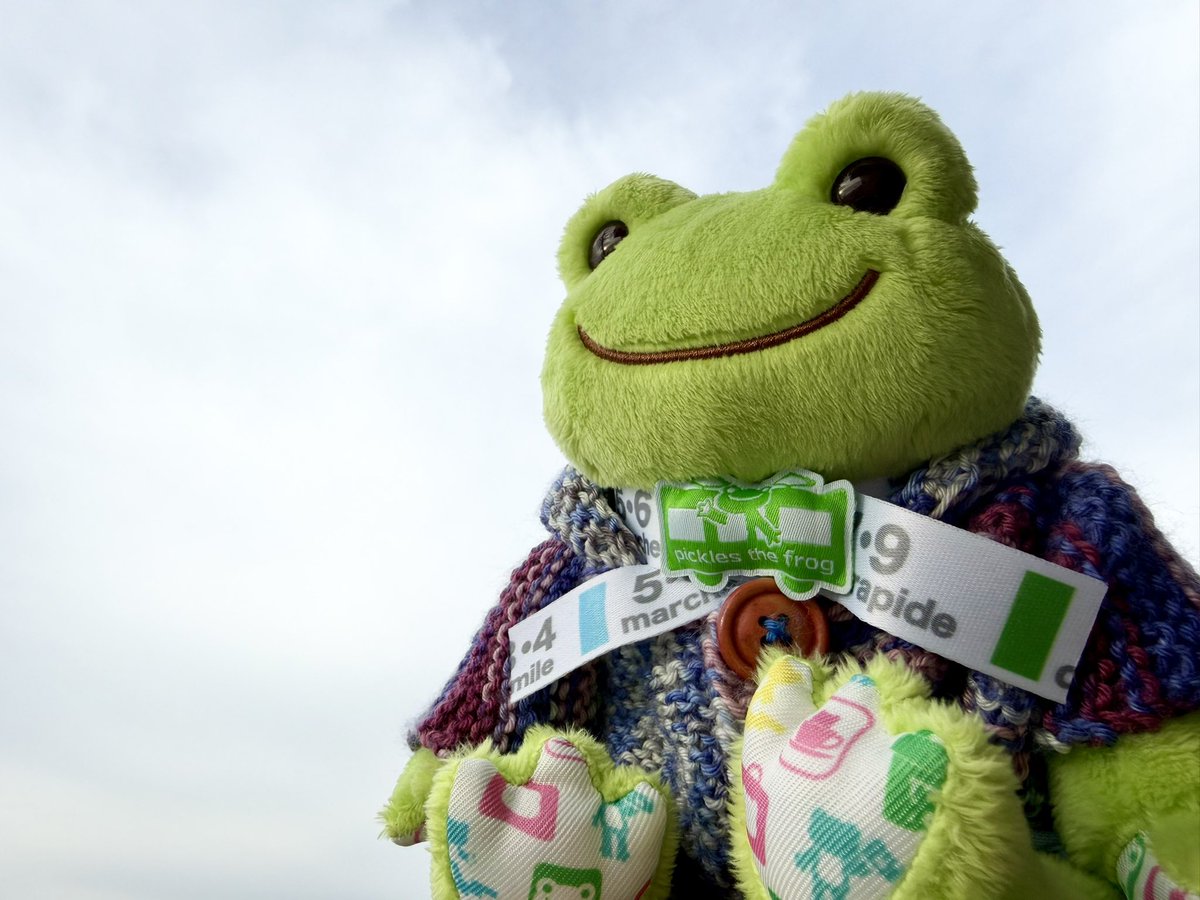 マハロ様 マハロ with 増田ポピー🐸 (@mahalo_the_frog) / Posts / X