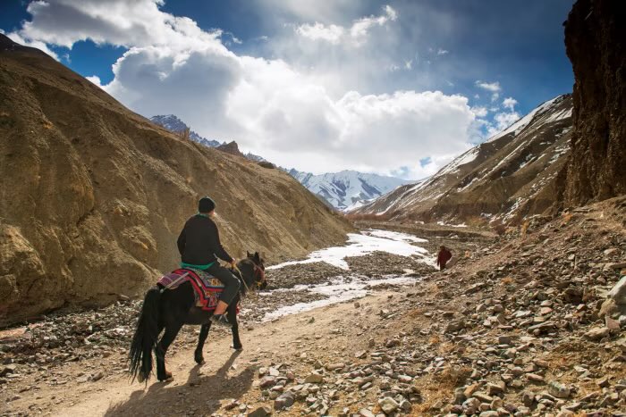 David Clinch tweet media