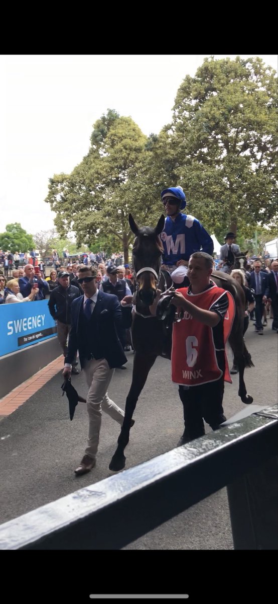 AnnaCSutton's tweet photo. @AtTheRaces Winx 4th Cox Plate https://t.co/LxNO7IPEhS