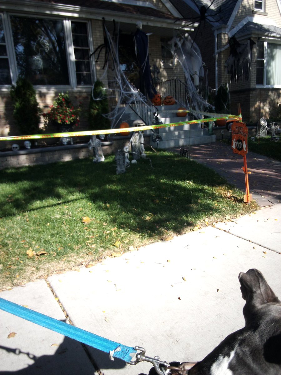 TUESDAY NIGHT #MACATION :

IGOR SAYS TAKE OVER (51.5) UMASS/AKRON
OHIO(-2.5)

Act Accordingly
🐕🏈