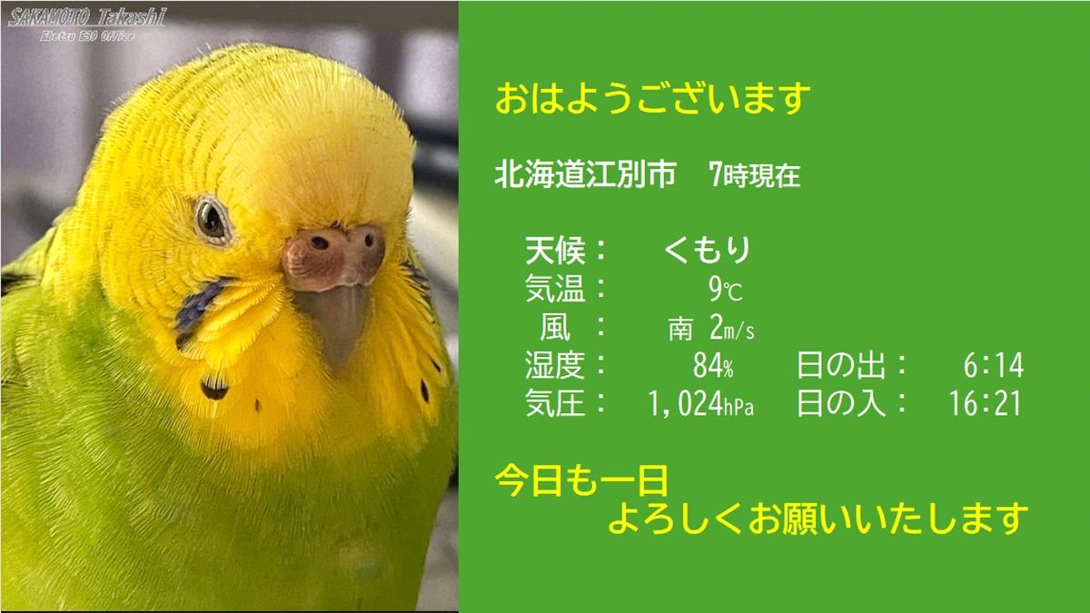 (*ˊᵕˋ*)ページ SAKAMOTO Takashi🎌 on X