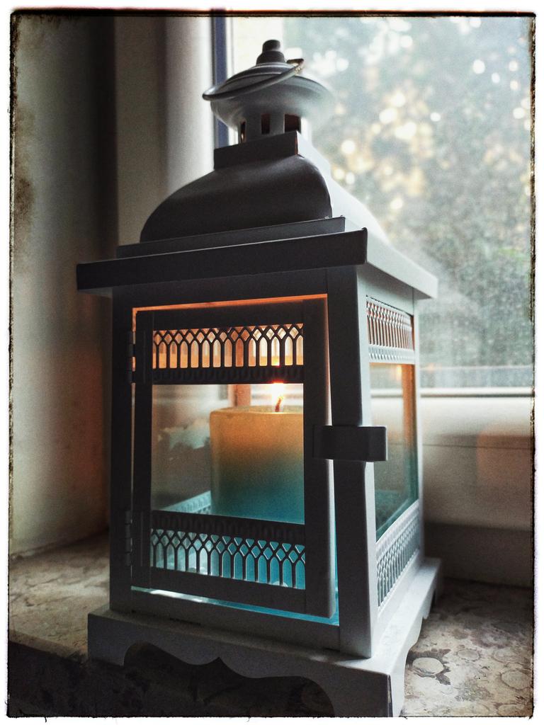 Amigdala Dassonneville Kyle tweet media