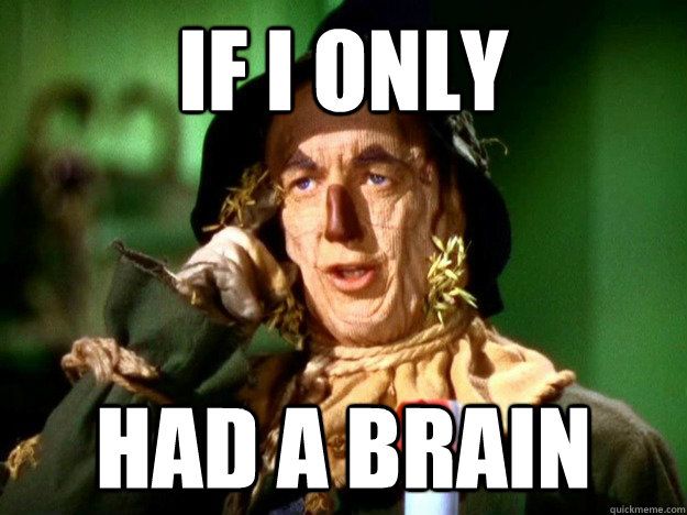 mark_wheat28546's tweet image. In response to progressives and their &quot;No King&apos;s&quot; protests, we should have a nationwide &quot;No Brains&quot; march.  In honor of every progressive politician and supporter. #nobrains #progressiveoverload