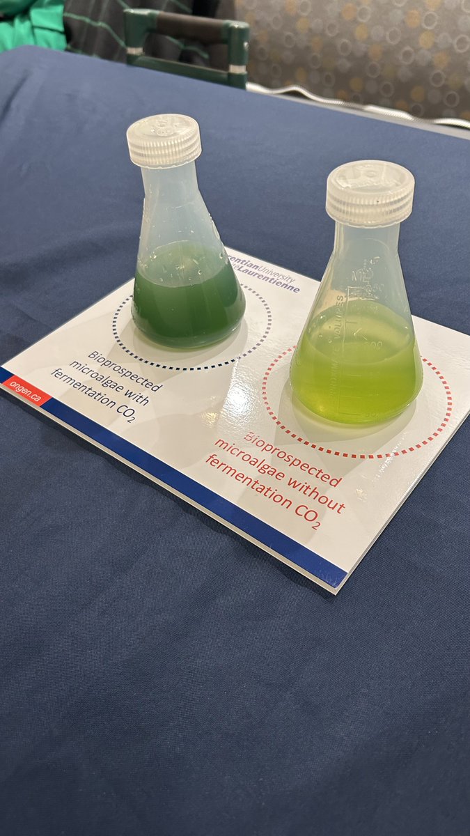 To enhance the sustainability of Canada’s craft brewing &amp; wine industries, Dr. Scott <a href="/LaurentianU/">Laurentian University - Université Laurentienne</a> is developing an innovative approach to carbon capture that helps convert their wastes into valuable natural health &amp; crop protection products. #ONpse #ONpoli #ONLifeSciences