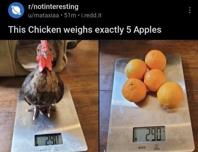 ShitpostGateway (@shitpostgate) on Twitter photo 