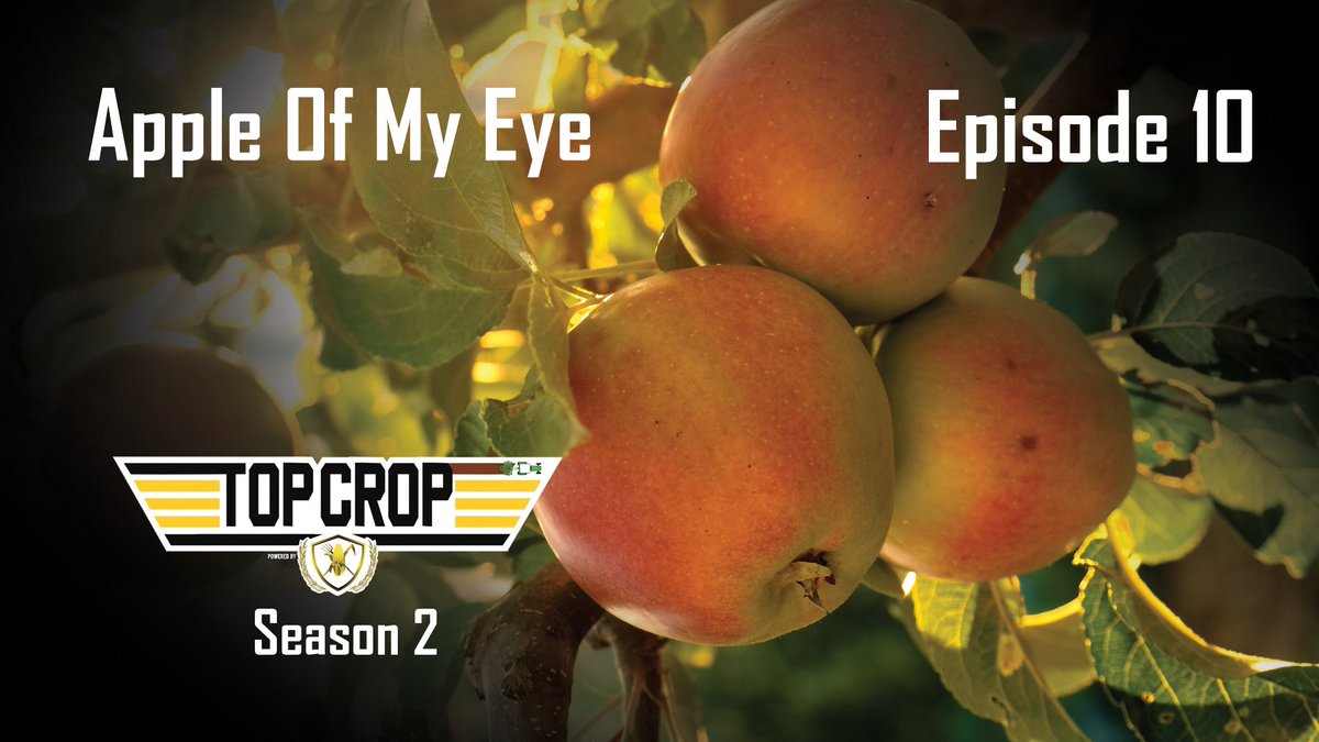 cornwarriorstv's tweet photo. Only a couple hours until a new episode of Top Crop TV! ๐
Weโre exploring specialty crops like apples, melons, pumpkins, and more on Apple of My Eye.
Tune in at 8:30 PM ET / 7:30 PM CT on RFD-TV.
#TopCropTV #Farmily https://t.co/g2GZlgT5zZ